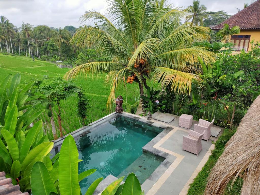 Dukuh Village Villas photo