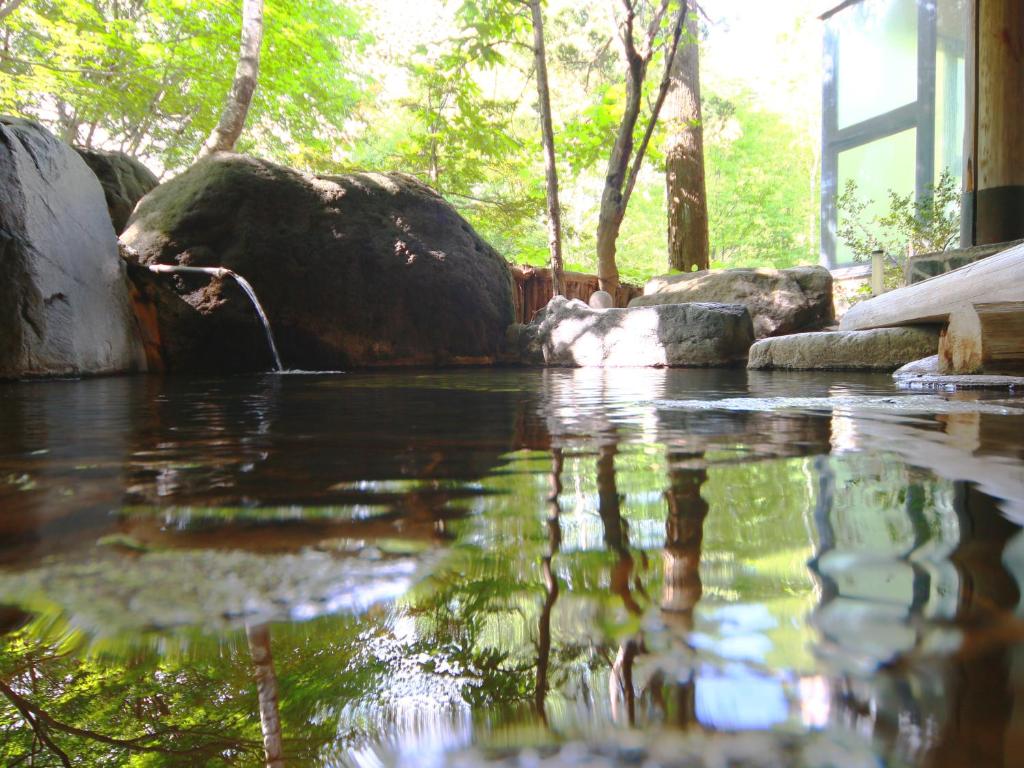 Hot spring bath