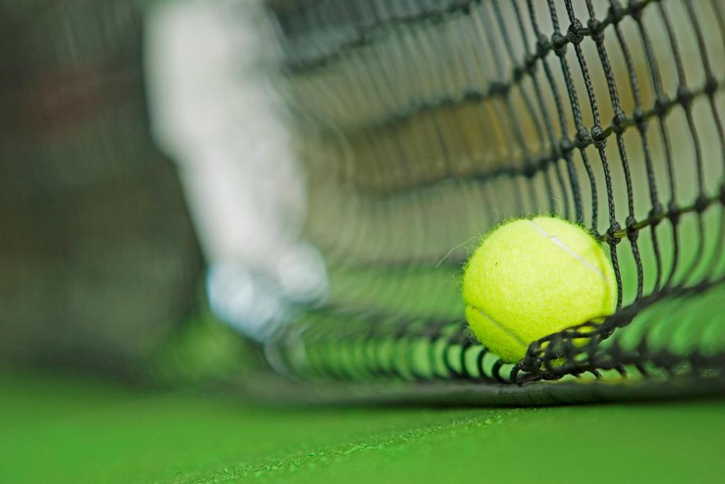 アクティビティ