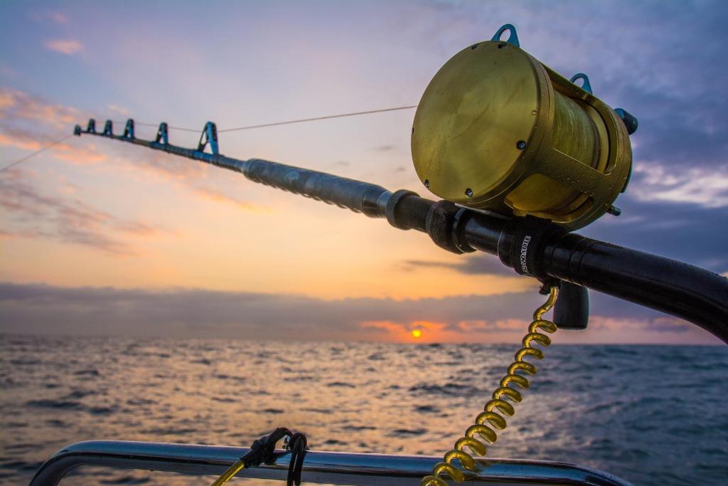 アクティビティ