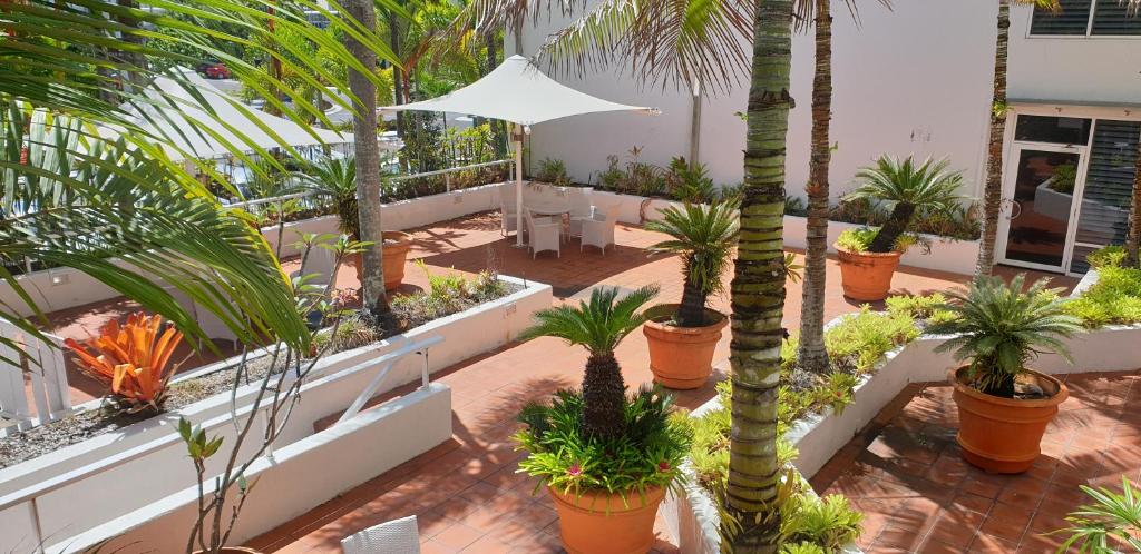 Jardín