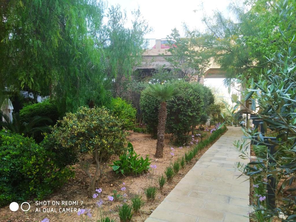 Maritim Antonine Hotel & Spa Photo 11