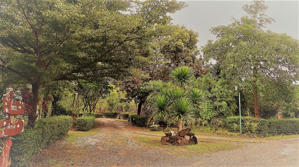 Garden, EiDI Homestay in Kalasin