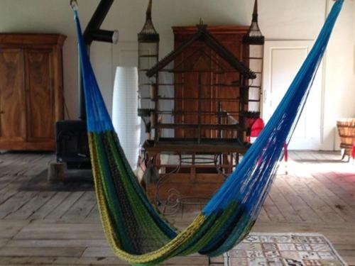 アクティビティ