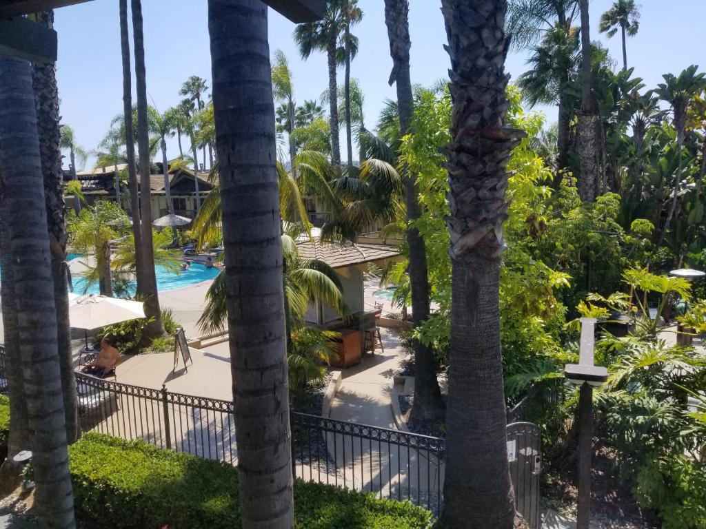 View