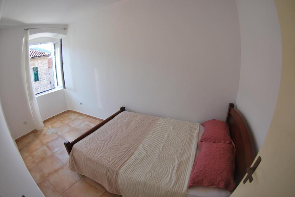 Apartment Antonia photo