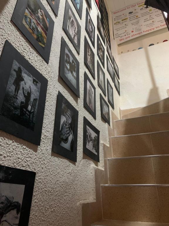 Terrace House 88 photo