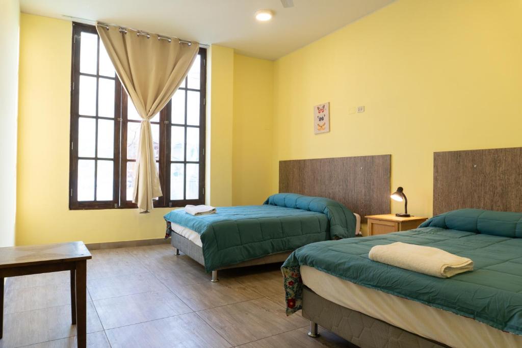 Desert Nights Hostel photo