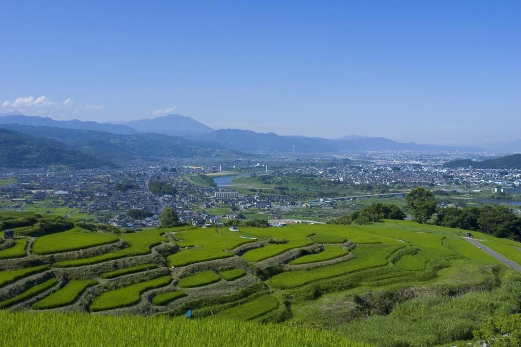 Surrounding environment