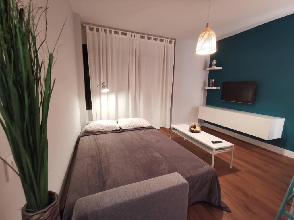Apartamento RAL5021 en Triana junto al centro - 3