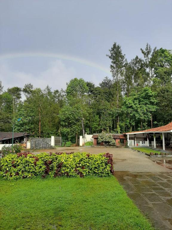 Back To Nest Homestay photo