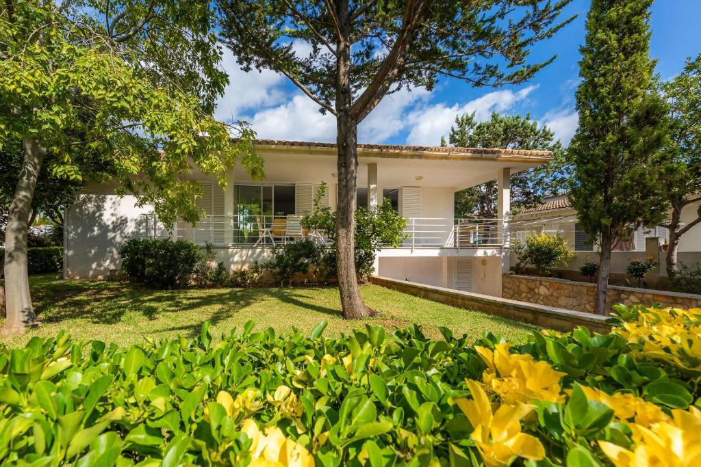 Can Francesc, Alcudia