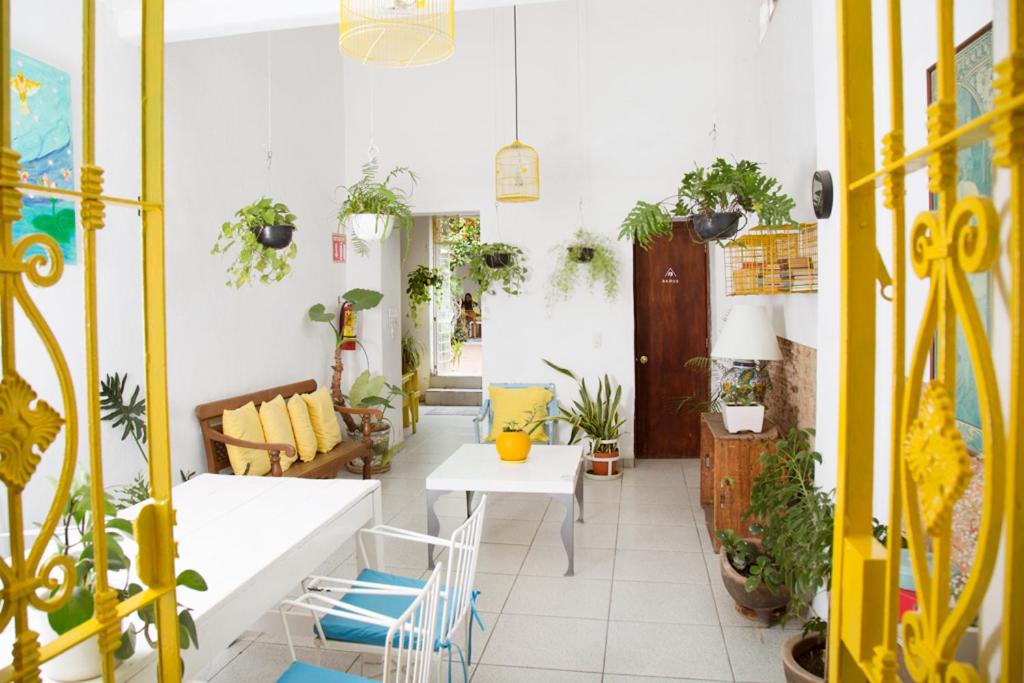 Casa Canario Hostel - 3