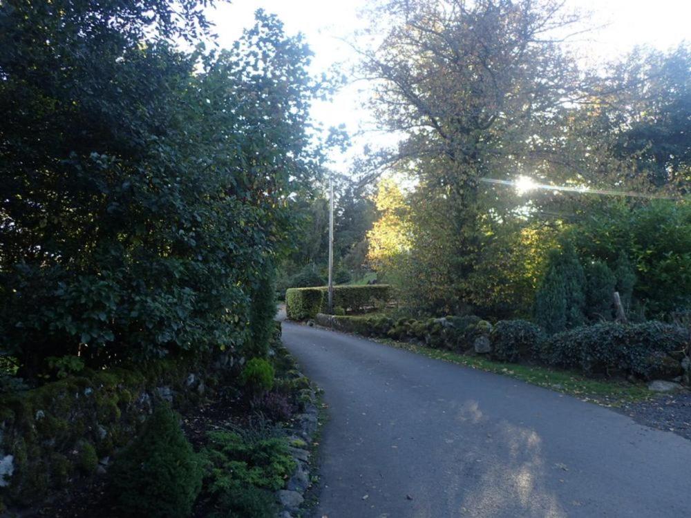 Foxglove Cottage, Straiton photo 8