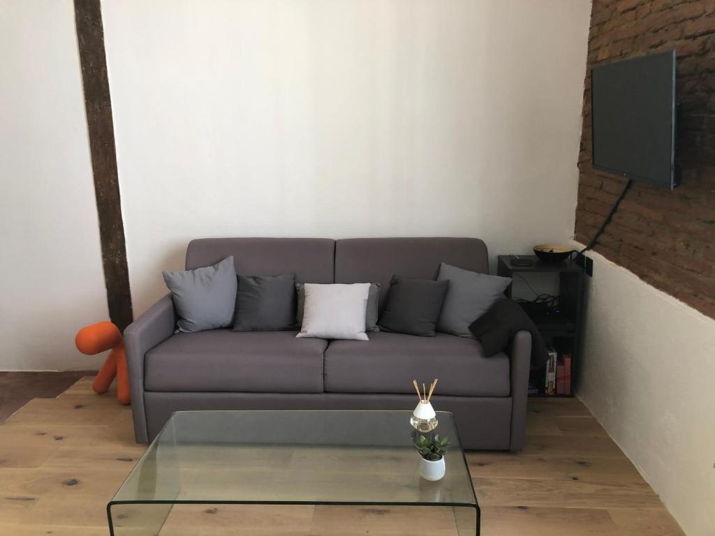 Charmant studio de 20m2 en hypercentre de Toulouse - 5