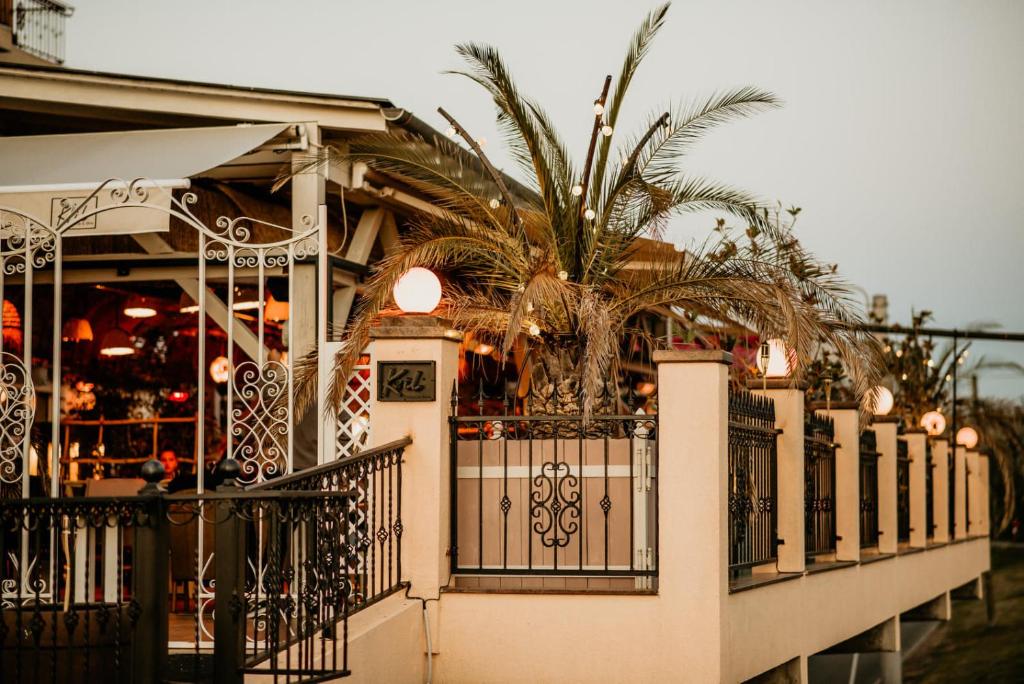 Hotel Coandi photo