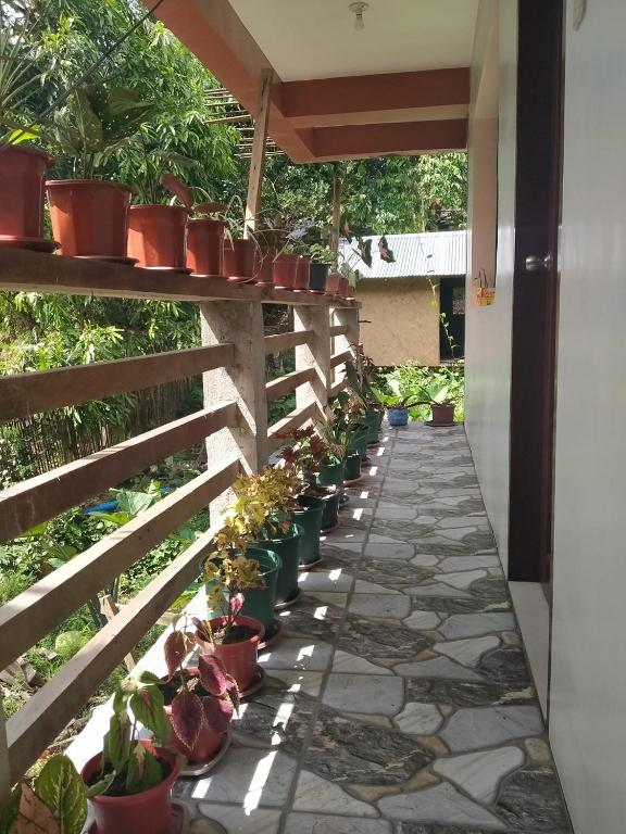 ディメサ シークレットロッジ アンド レストラン (D'MESA Seacretlodge and Restaurant) 館内設備