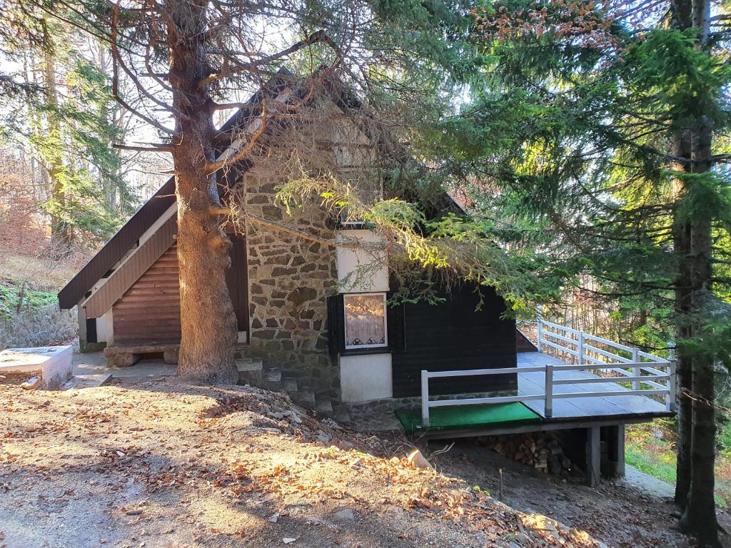 VILA PAVLOVIC - 2