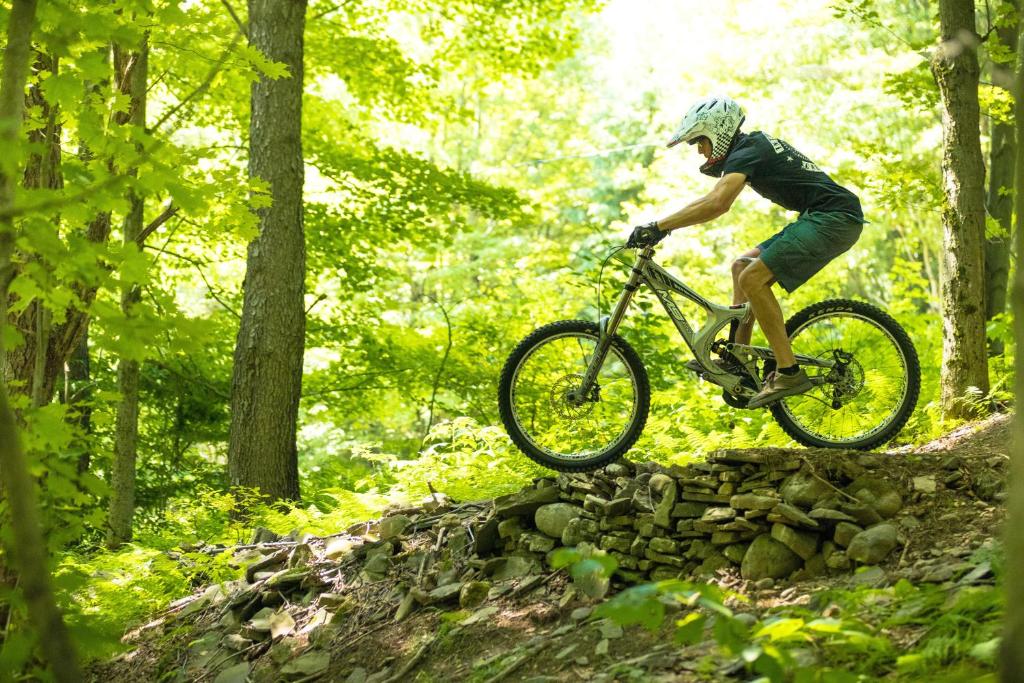 周辺観光スポット