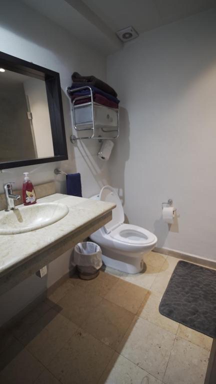 One Bedroom Apartment Del Valle - 3
