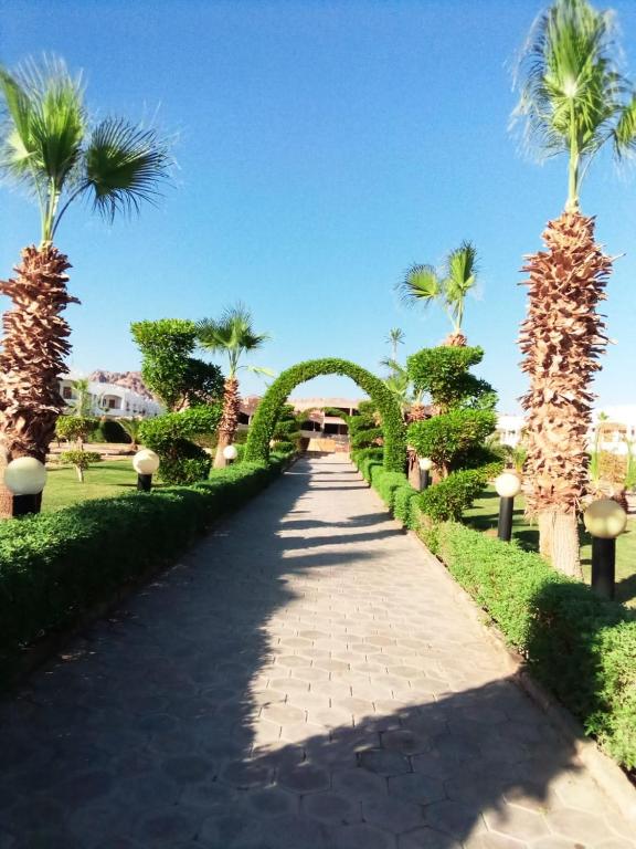 Happy Life Village Dahab — Hotel building in St. Catherine, South Sinai