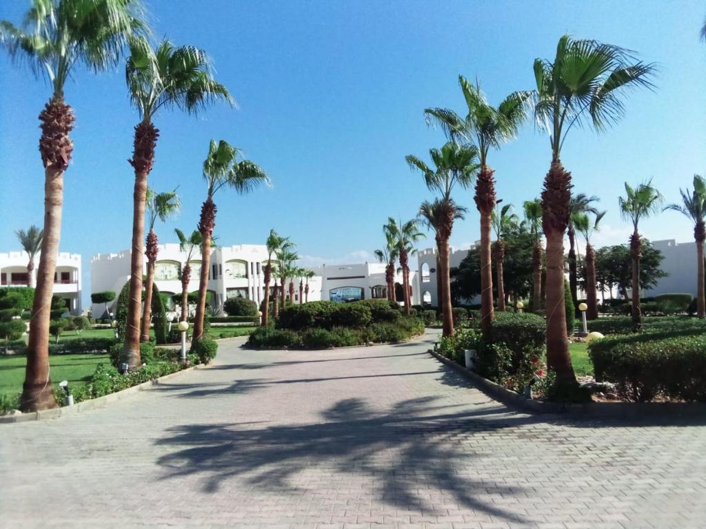 Happy Life Village Dahab — Hotel building in St. Catherine, South Sinai