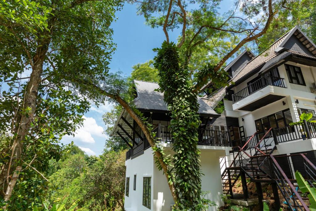Patong Garden House - Luxury Villa in Patong Hills photo
