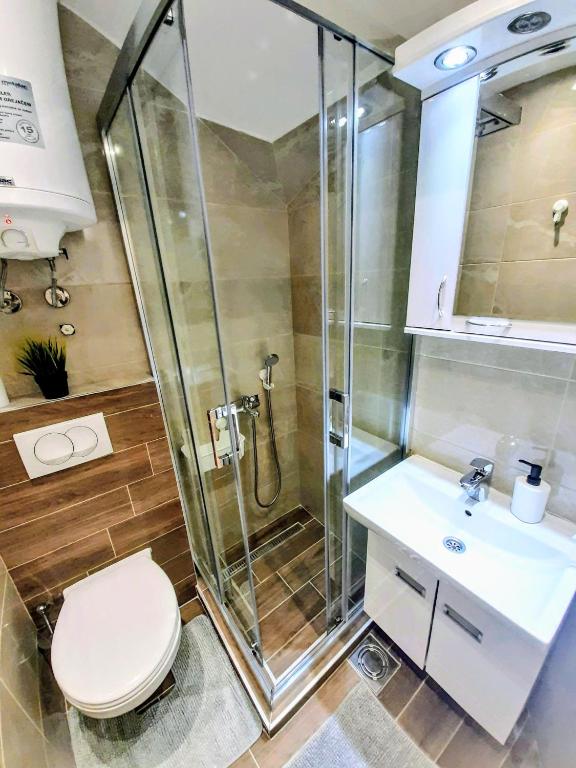 Vila Plan - Centar Kopaonik - 3