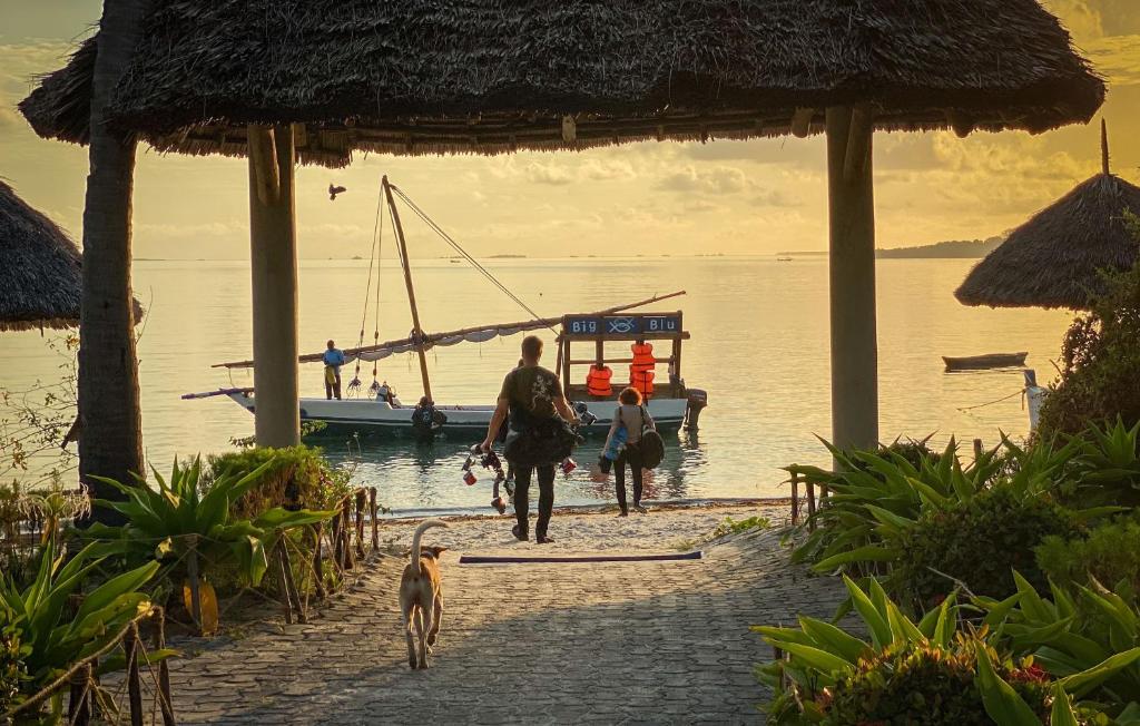Butiama Marine Camp — Hotel in Utende