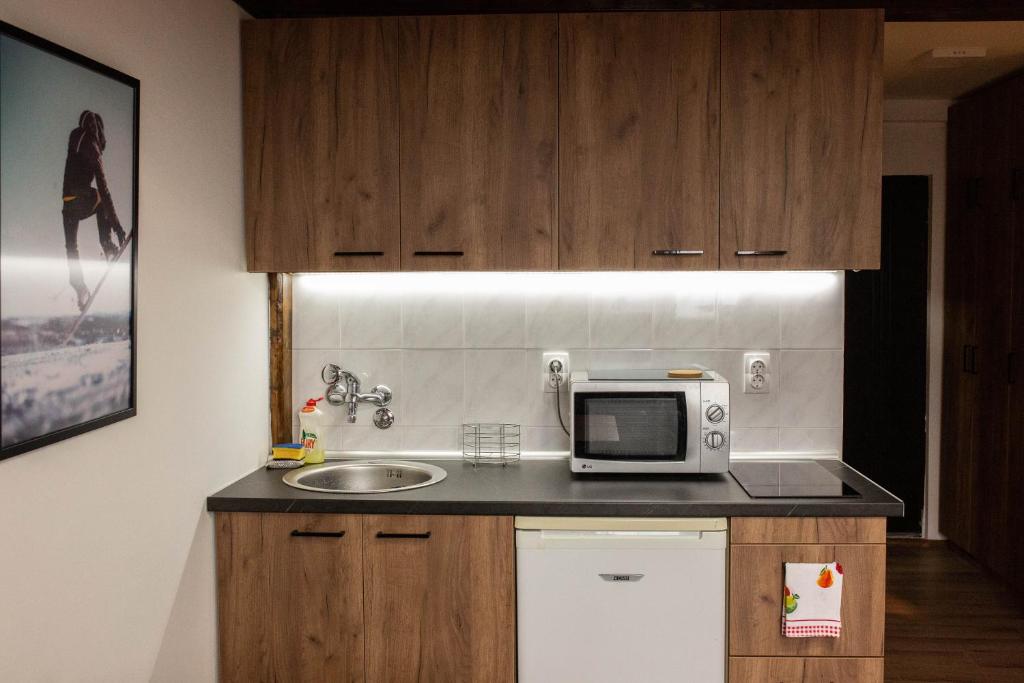Apartman Medjustanica photo