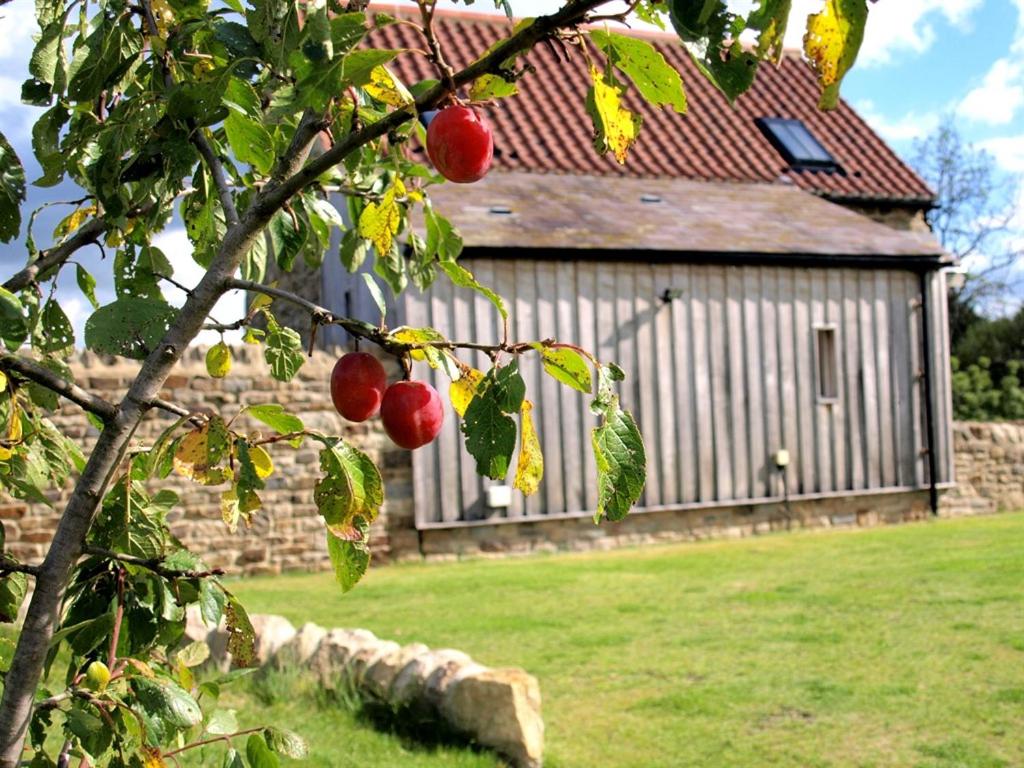 Plum Tree Cottage