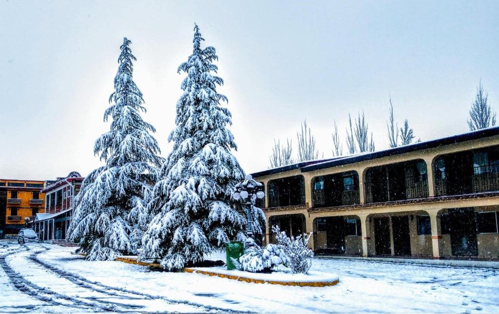 Hotel Cascada Inn