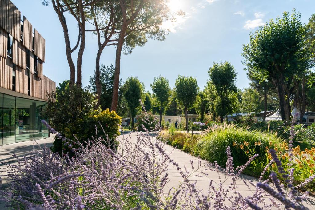 Camping Ca' Savio — Attractions in the area in Cavallino-Treporti, Veneto