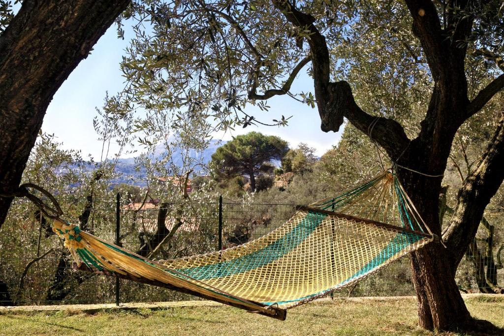 La Villa dell'Olio - 5