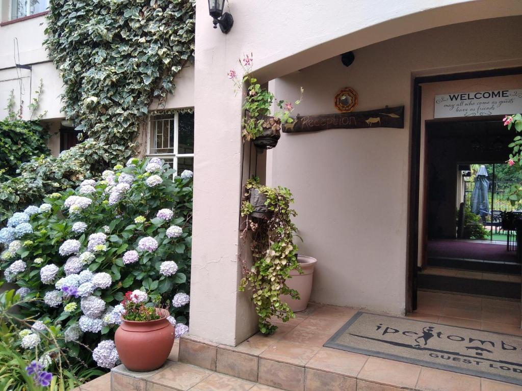 Ipe Tombe Guest Lodge photo