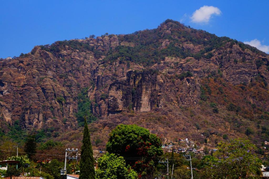 Hospedaje La Hoja photo