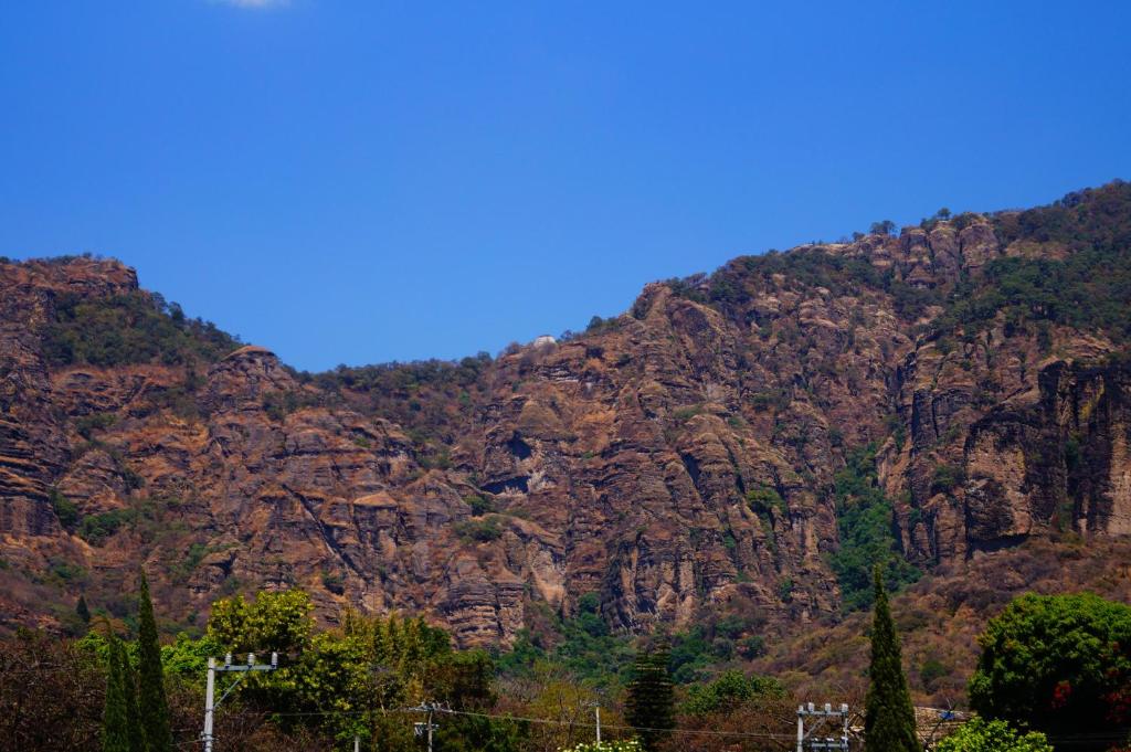 Hospedaje La Hoja photo