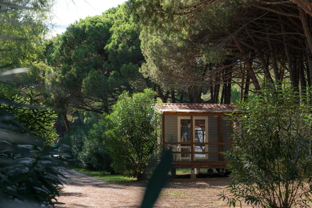 Camping Ca' Savio — Hotel building in Cavallino-Treporti, Veneto