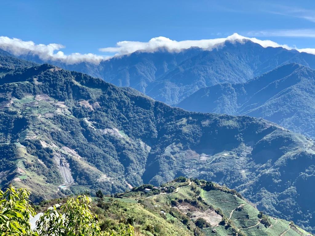 Surrounding environment