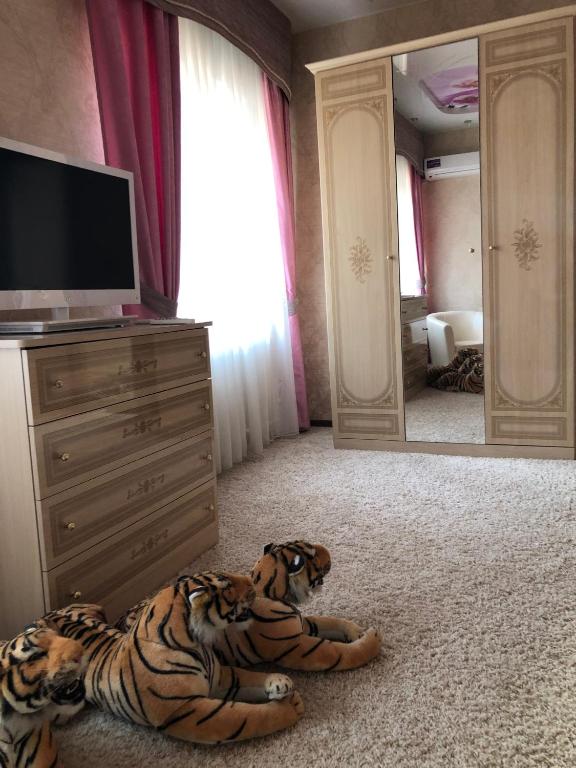 Shared lounge/TV area
