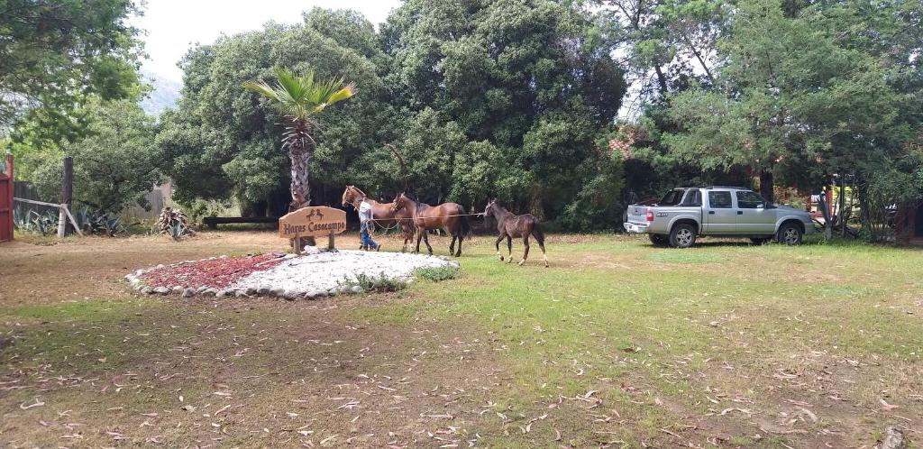 Hotel Haras Casacampo - 2