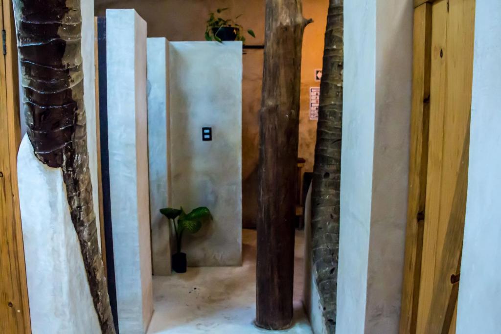 oOstel Smart Hostel - Tulum Playa photo