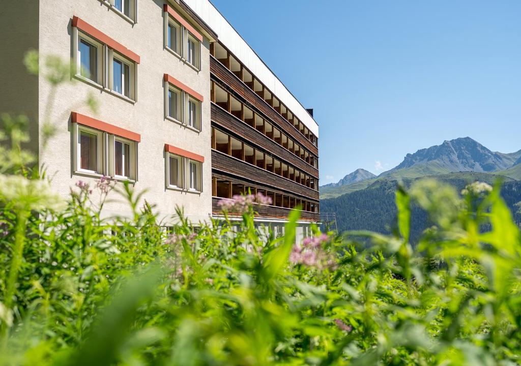 Arosa Mountain Lodge photo