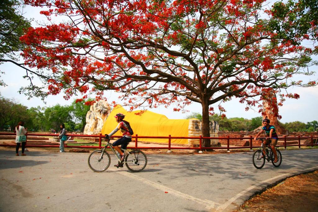 Sports and activities