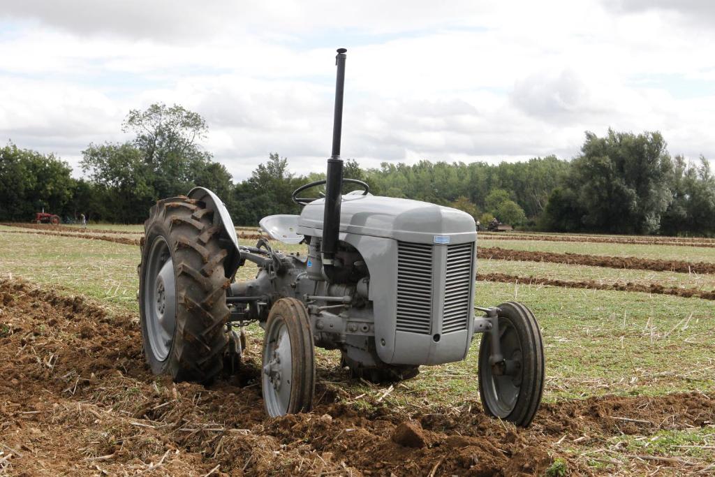 アクティビティ