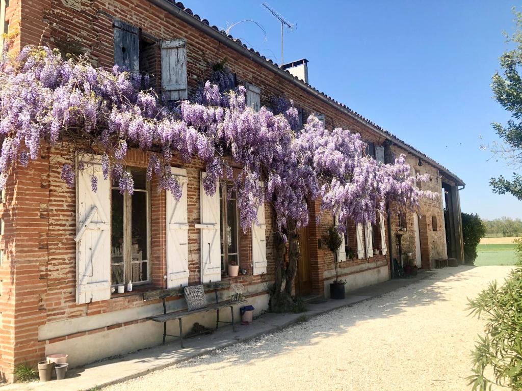 Beautiful 6 Bedroom Farm House in Castelferrus