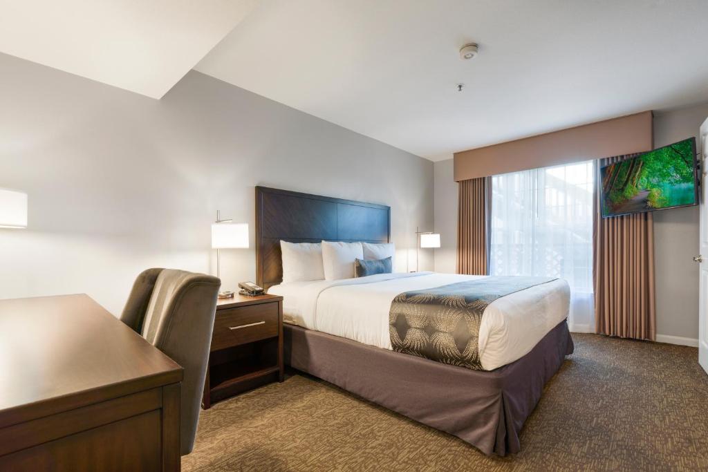 CHASE SUITES photo