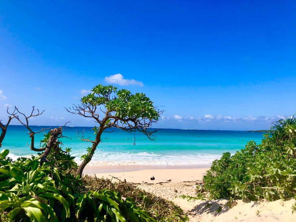 Surrounding environment