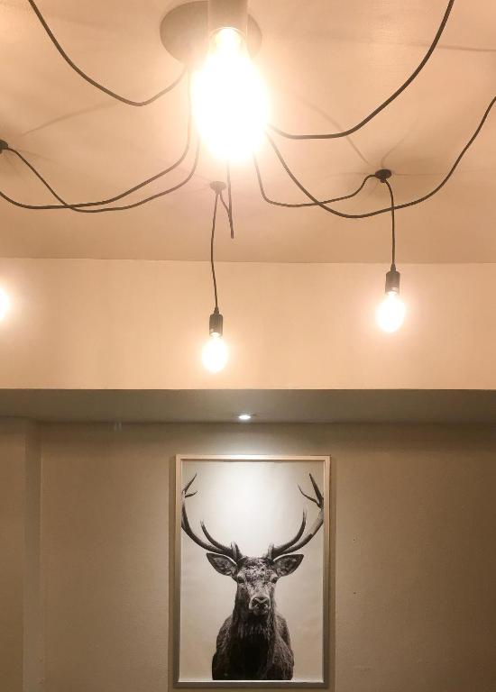 公用交誼廳/視聽室