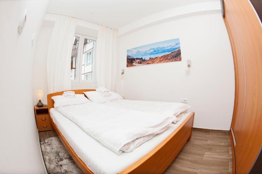RELAX APARTMAN KOPAONIK - 4